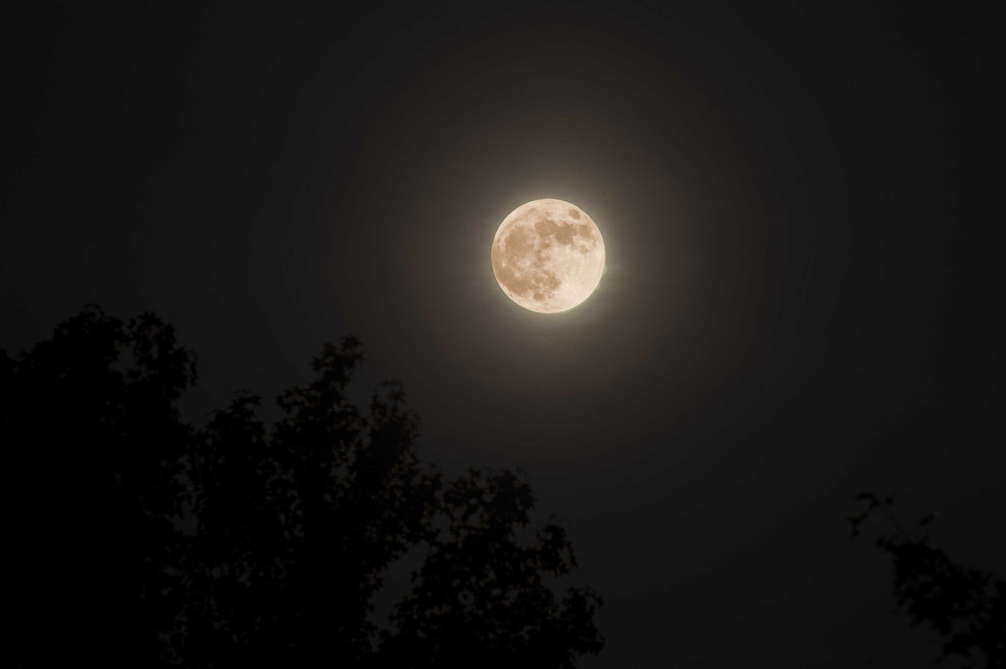 MOONDATE: 16 OCTOBER, 2016